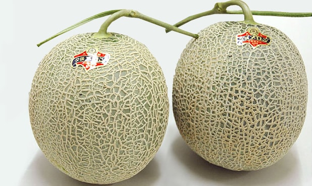 yubari-melone